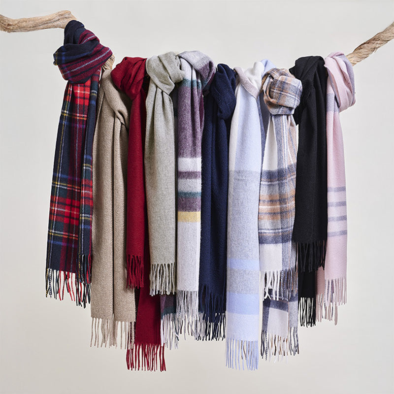 Pure Cashmere Unisex Scarf